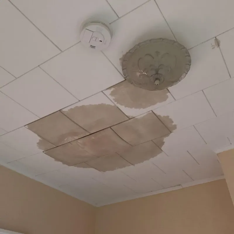 Ceiling Water Damage Repair in Parkville, MN