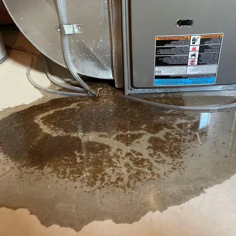 Pipe Burst and Leak Restoration in Parkville, MN